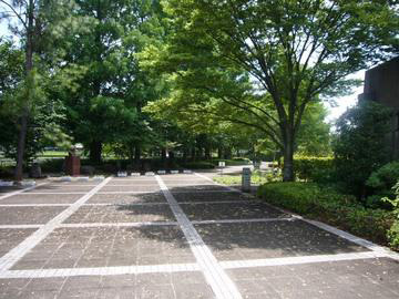 公園の維持管理を行っています