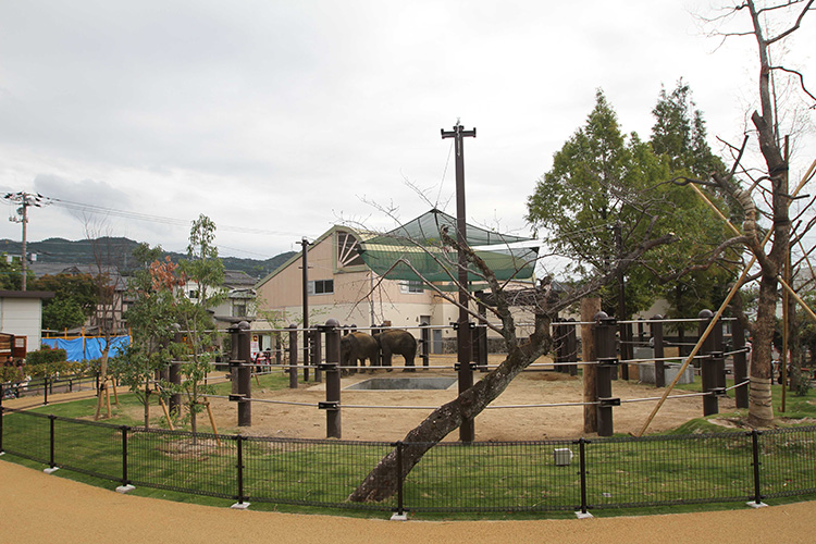 動物園の整備に活かされています