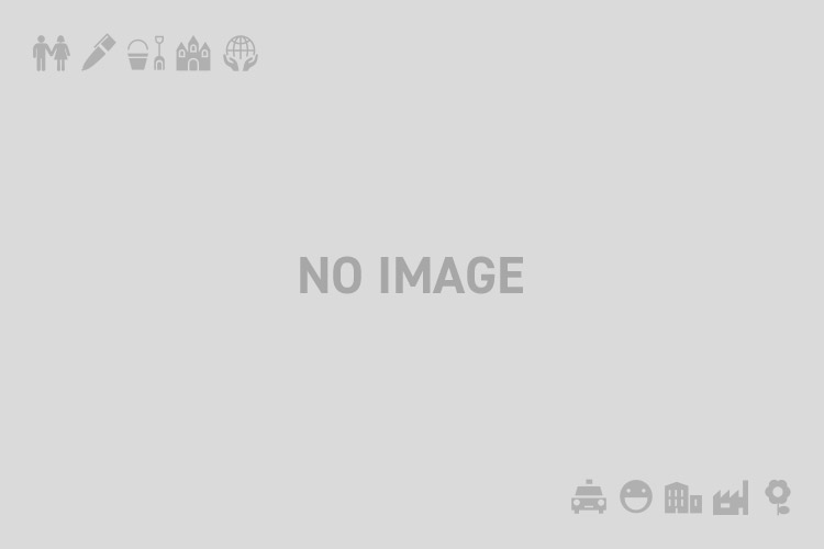 丸岡城周辺整備事業