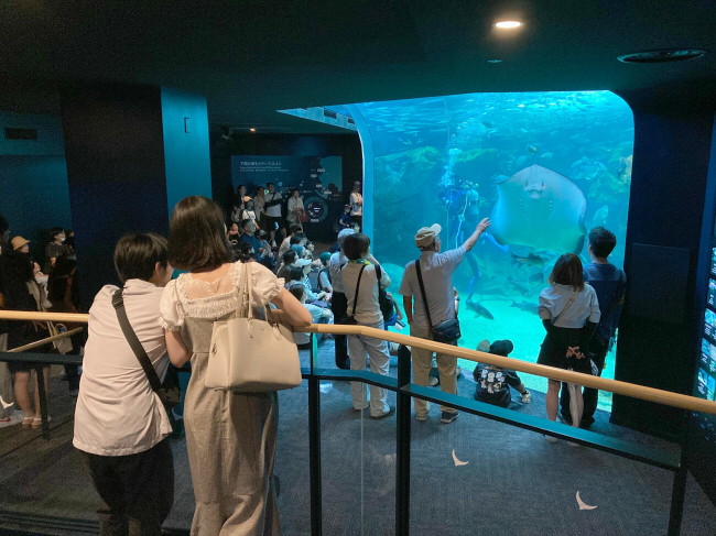 水族館のリニューアル